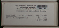 Image Associated With the Occurence
